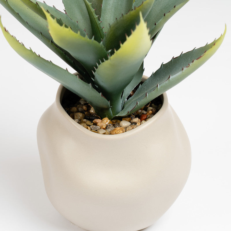 30cm Artificial Aloe Plant in Ceramic pot